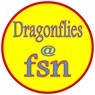 Dragonflies at FSN